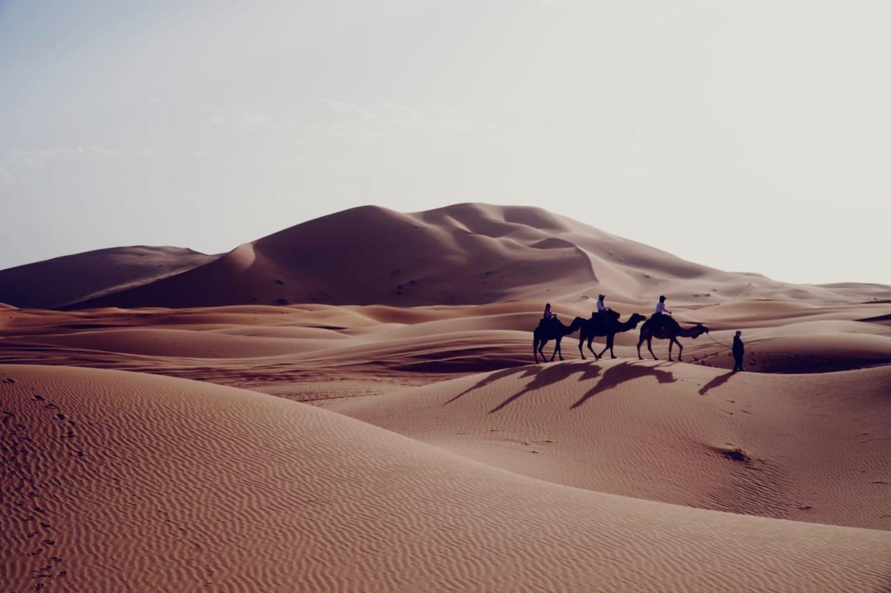 Tourza Desert Camp 