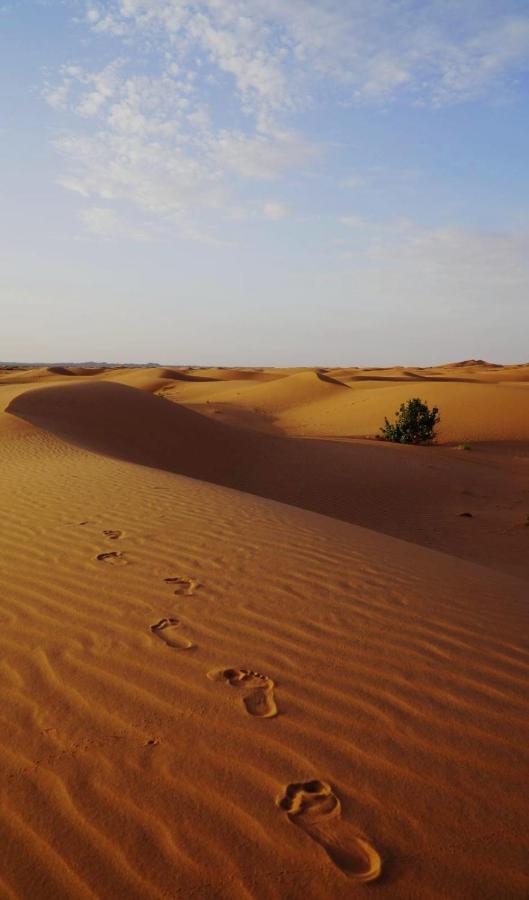 Luxuszelt Tourza Desert Camp 