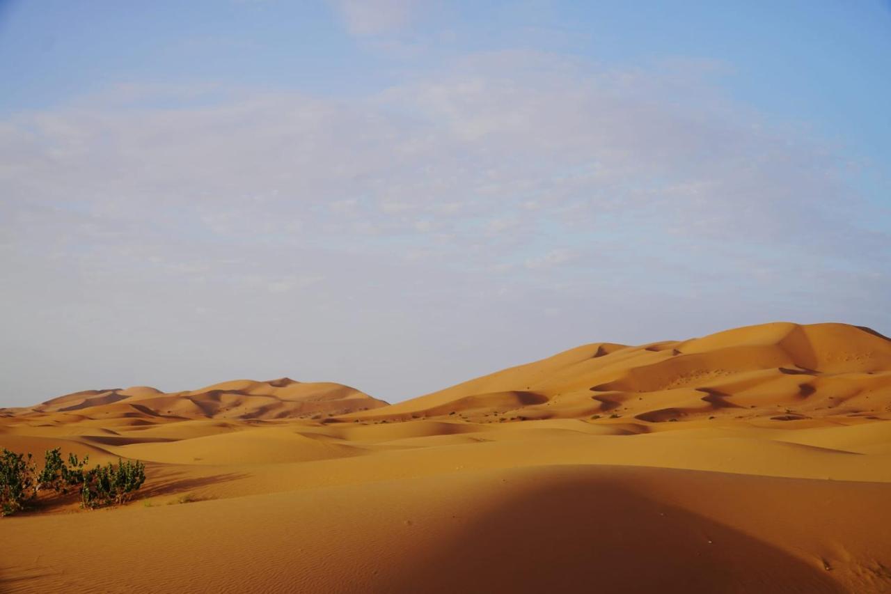 Luxuszelt Tourza Desert Camp 